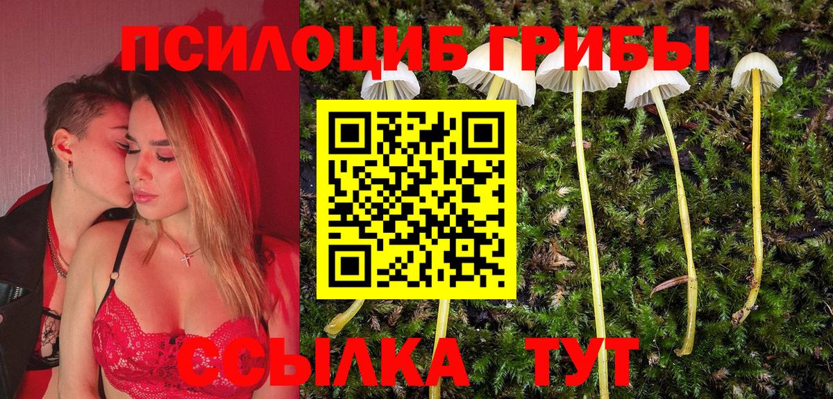 Псилоцибиновые грибы Psilocybe  Вход с VPN  Псков 