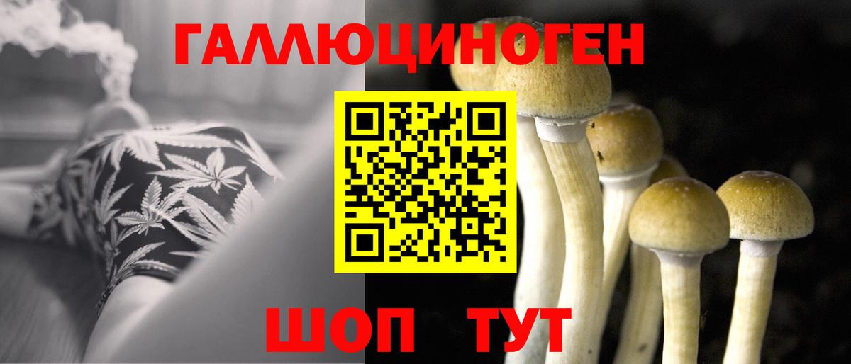Галлюциногенные грибы мухоморы Псков